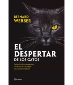 EL DESPERTAR DE LOS GATOS