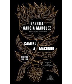 Camino a Macondo