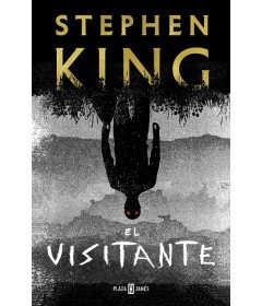 El visitante