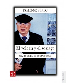 El volcán y el sosiego