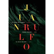 Juan Rulfo - Obra