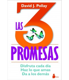 Las 3 promesas