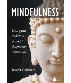 Mindfulness una guía practica para el despertar espiritual