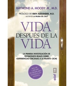 Vida después de la vida