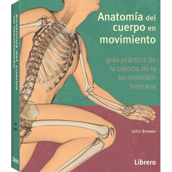 Anatomía del cuerpo en movimiento